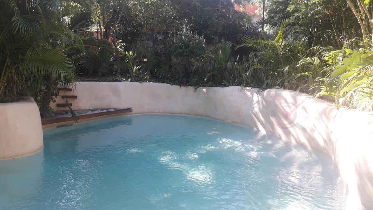 New Luxury Suite Con Plunge Pool Privado 图卢姆 外观 照片