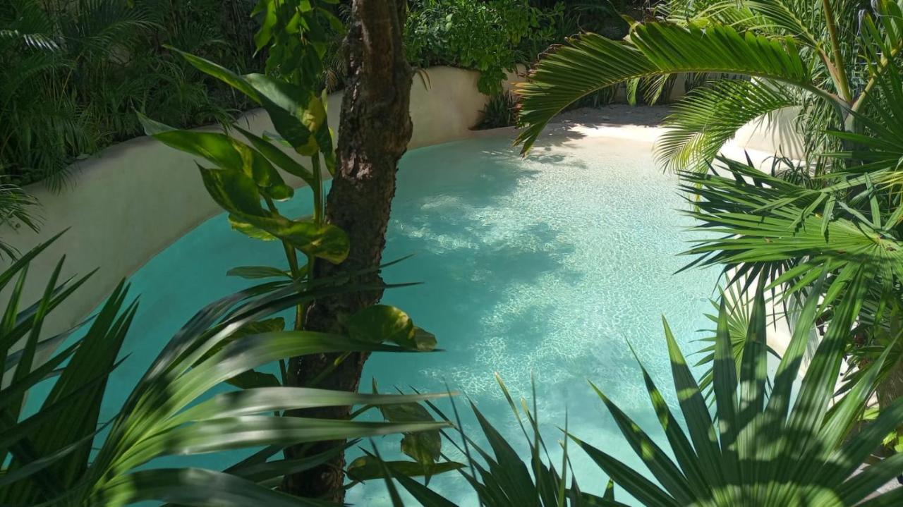 New Luxury Suite Con Plunge Pool Privado 图卢姆 外观 照片