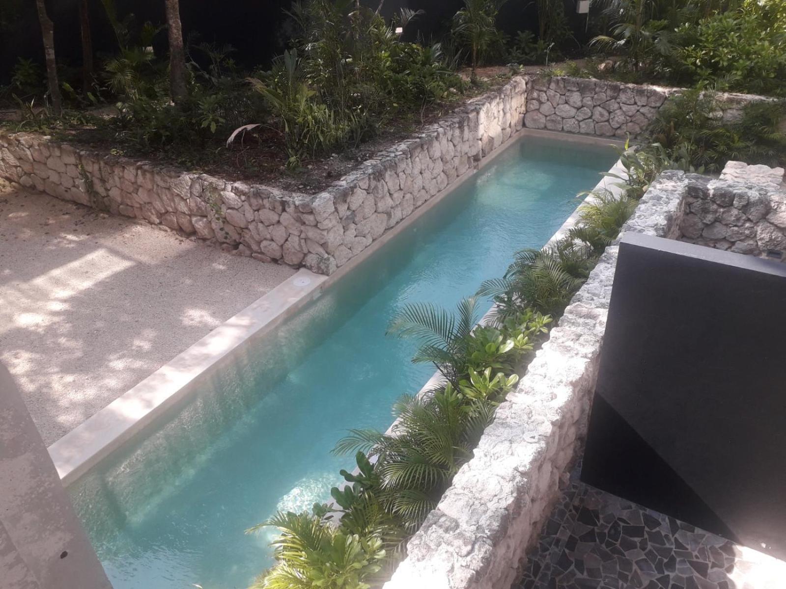 New Luxury Suite Con Plunge Pool Privado 图卢姆 外观 照片